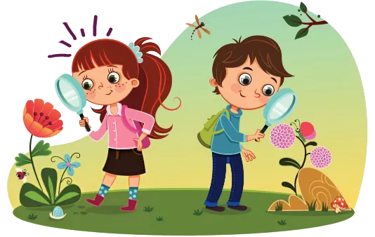Children's Book Illustration